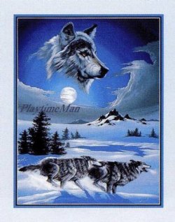 Wolves.jpg Wolves.jpg