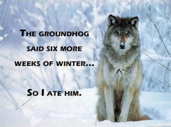 Long Hard winter.jpg Long Hard winter.jpg