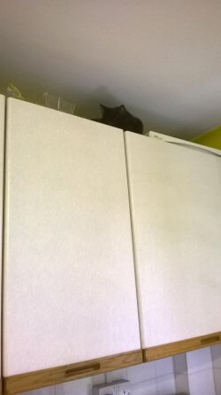 WP_20140406_001.jpg