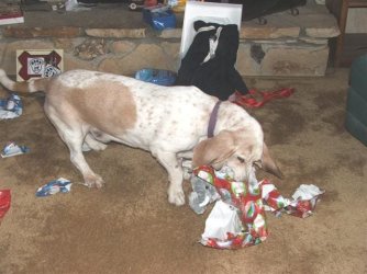 christmas2012a.jpg