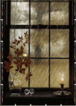 AniAdarkRainWindow.gif AniAdarkRainWindow.gif