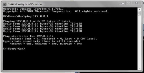 Ping Test 1.JPG
