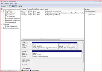DISK MANAGEMENT SNIP IN VISTA.JPG
