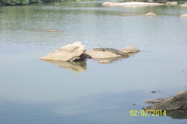 100_3732.JPG