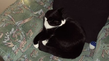 0008878.jpg