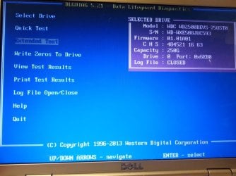 Extended Test Running.jpg