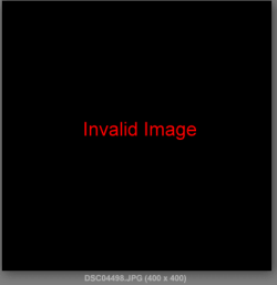 Capfture.PNG