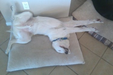 IMAG0466.jpg