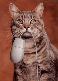 cat_mouse.png cat_mouse.png