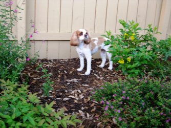IMG_0762.jpg IMG_0762.jpg