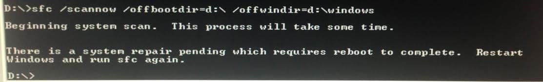 sfc.jpg