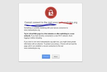 estay2.JPG