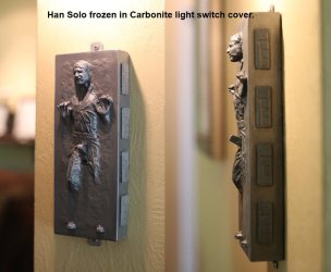 Solo Switch.jpg