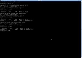Screenshot - Fdisk.png