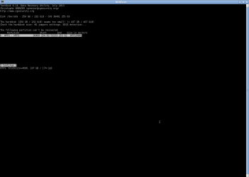 Screenshot - testdisk.png