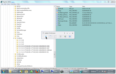 Regedit ProfileList -0006 Rebecca.PNG