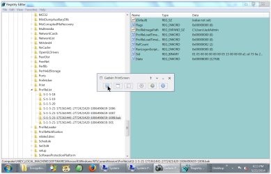 Regedit ProfileList  -0008_bak JackAdmin.PNG