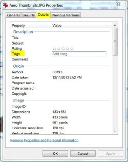 Adding Tags to Photo.JPG