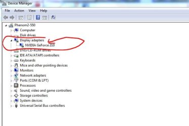 Video_Card_in_Device_Manager.JPG