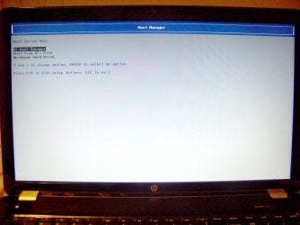 5. Boot Manager.jpg