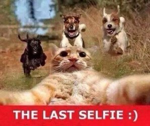 Last_Selfie.jpg