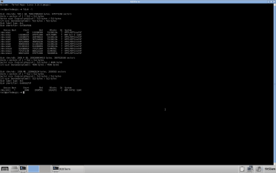 Screenshot - fdisk.png