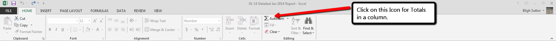 Excel_column_totals..png Excel_column_totals..png