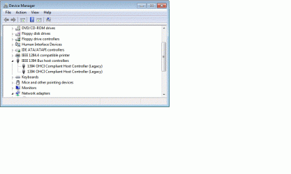IEEE Device Manager.gif
