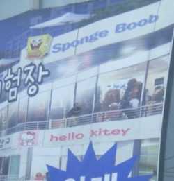 sponge.png