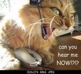 can_You_Hear_Me_Now.jpg