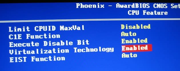 bios.jpg