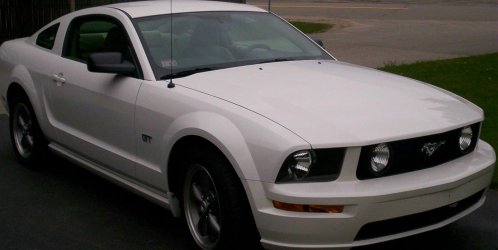05Mustang.jpg