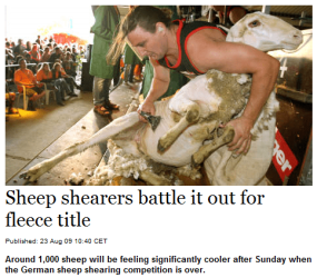 sheep.PNG sheep.PNG