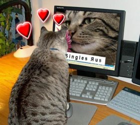Hearts.jpg Hearts.jpg