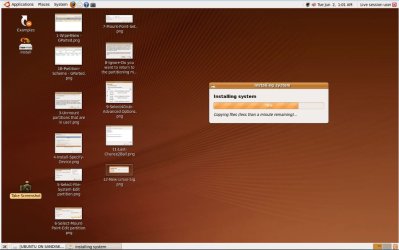 13-Ubuntu-Live-Desktop.jpg