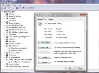 Audio Driver Properties.JPG