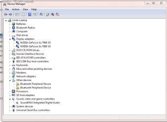 Device manager.PNG