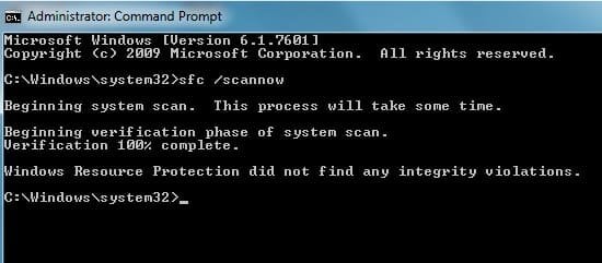 scan.jpg