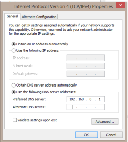 DNS -manually assigned.PNG
