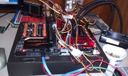 IMAG0415.jpg