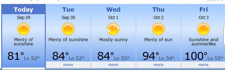 wx.jpg