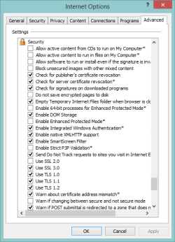 IE_AdvTab-Security.png