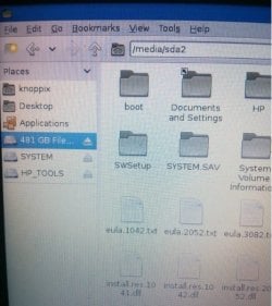 Knoppix.jpg