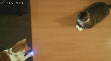 laser pong.jpg
