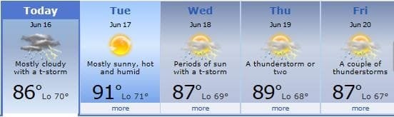 wx F.JPG wx F.JPG