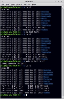 cp vs sudo cp owner.jpg cp vs sudo cp owner.jpg