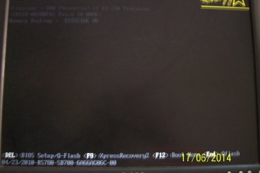 100_39331.JPG