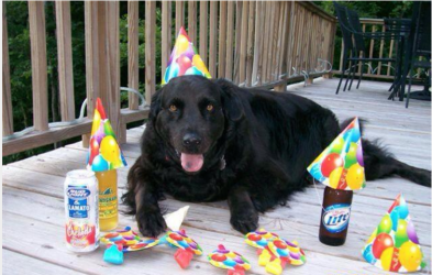 Happy B-d.PNG
