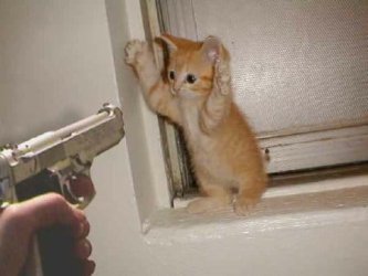 CAI9ABY5.jpg