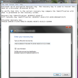 Via Bitlocker.png